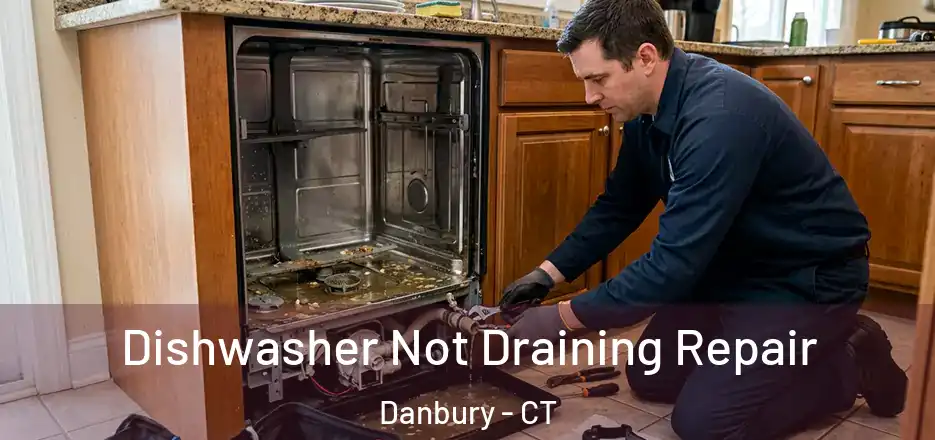 Dishwasher Not Draining Repair Danbury - CT