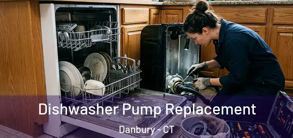 Dishwasher Pump Replacement Danbury - CT