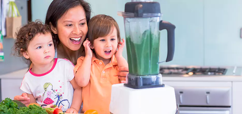 Juicer and Mixer Blender Repair in Danbury 