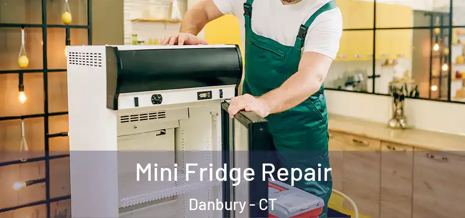 Mini Fridge Repair Danbury - CT