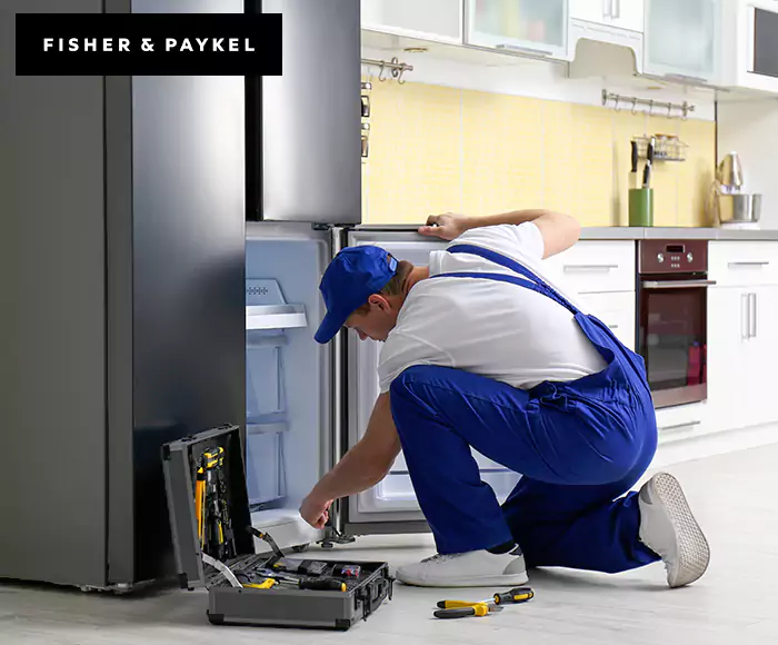Top-Rated Fisher & Paykel Appliance Experts: Your Brand Specialist in Danbury, CT