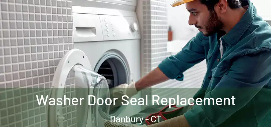 Washer Door Seal Replacement Danbury - CT